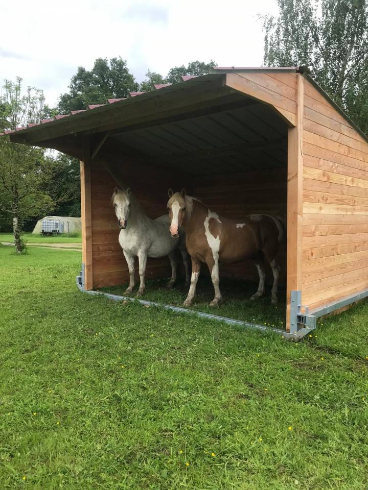 LCI-Cheval | Equestrian facilities > Field shelters