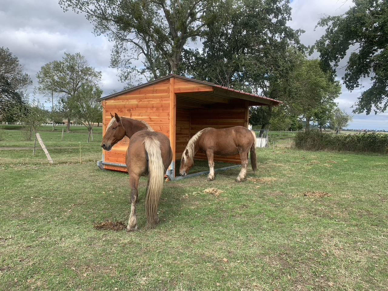 LCI-Cheval | Equestrian facilities > Field shelters