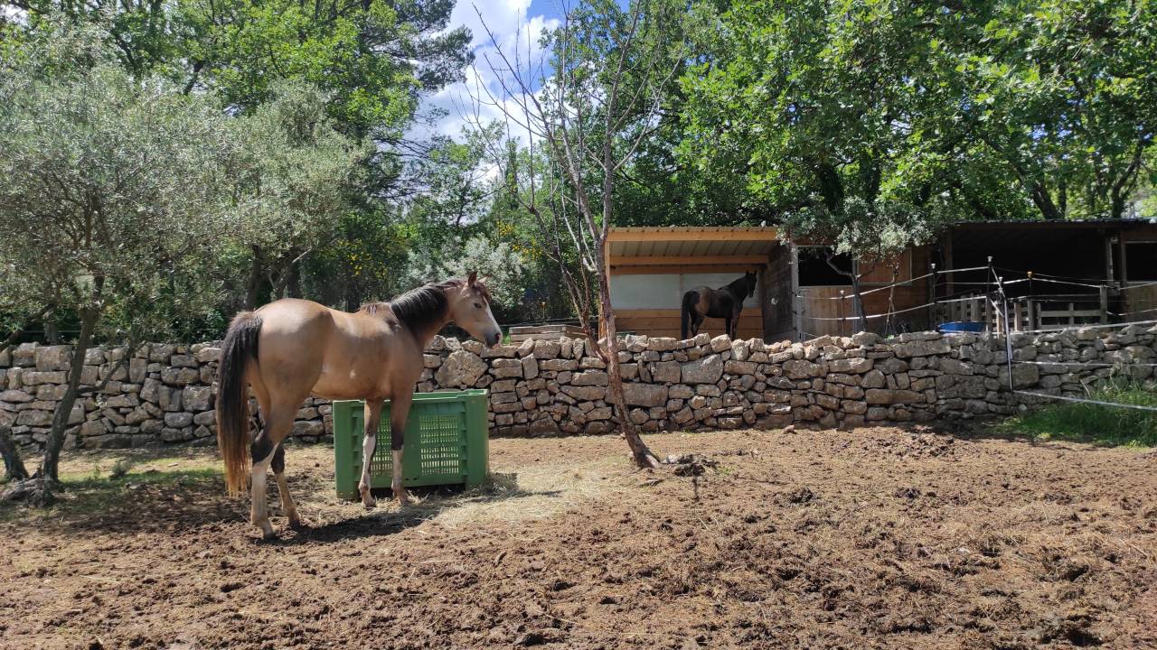 Luxurious equestrian property  Var