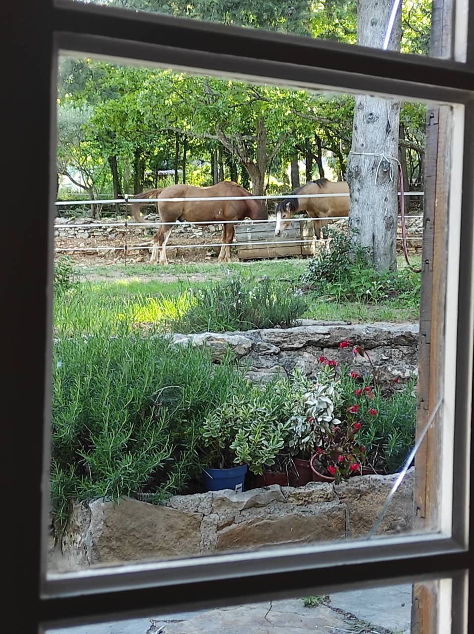 Luxurious equestrian property  Var