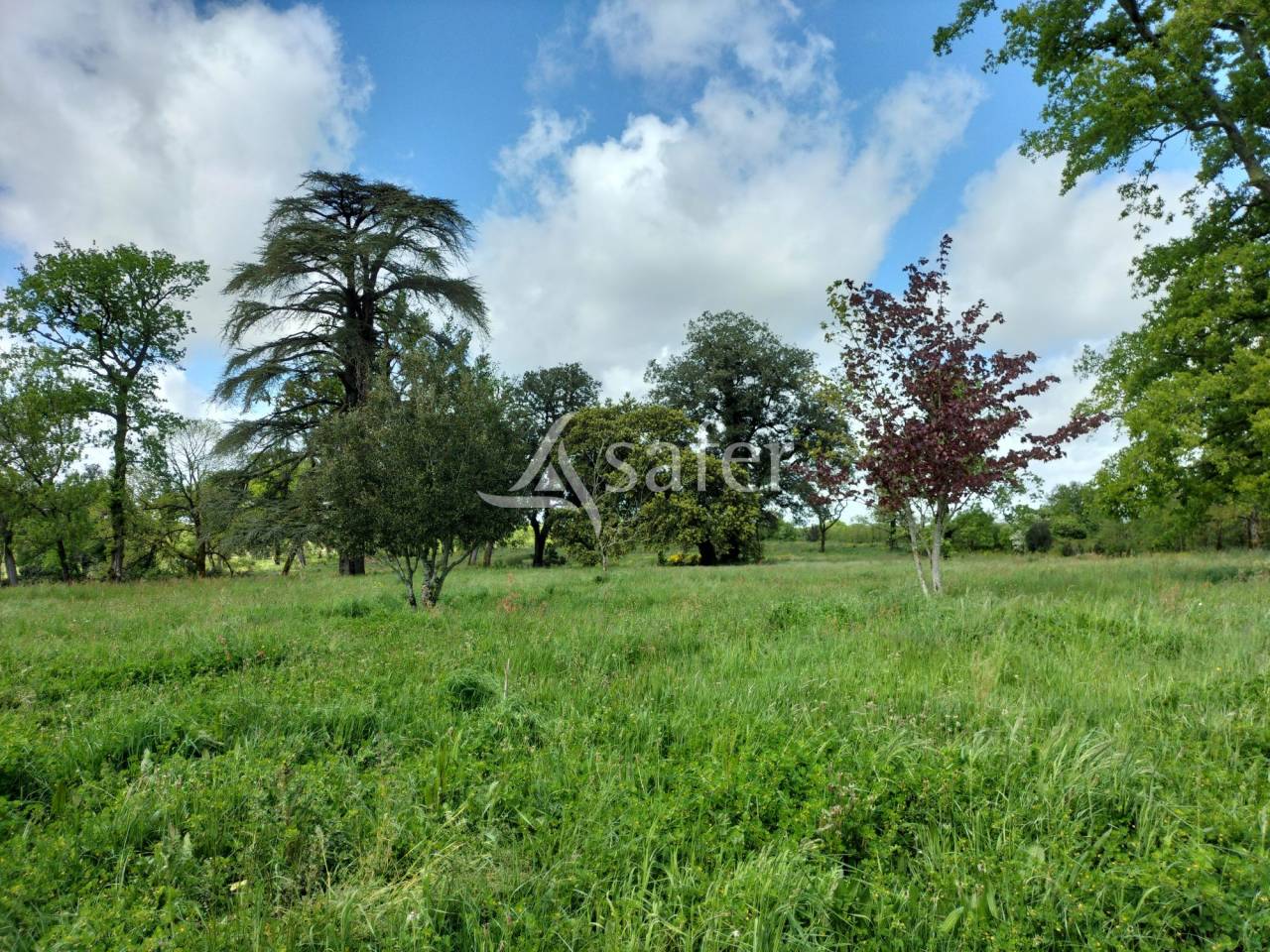 Other country property  Vendée
