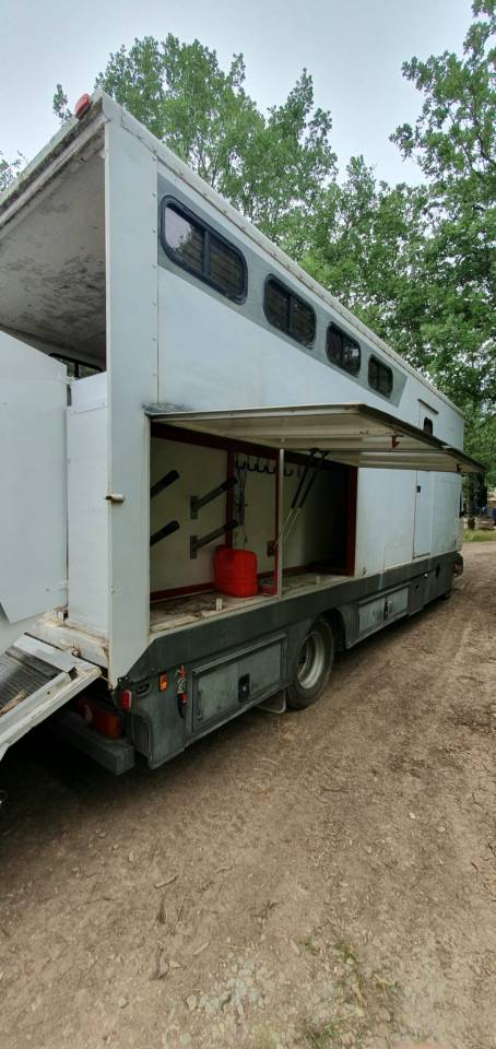 Horsebox NON-HGV Renault  2001 Used