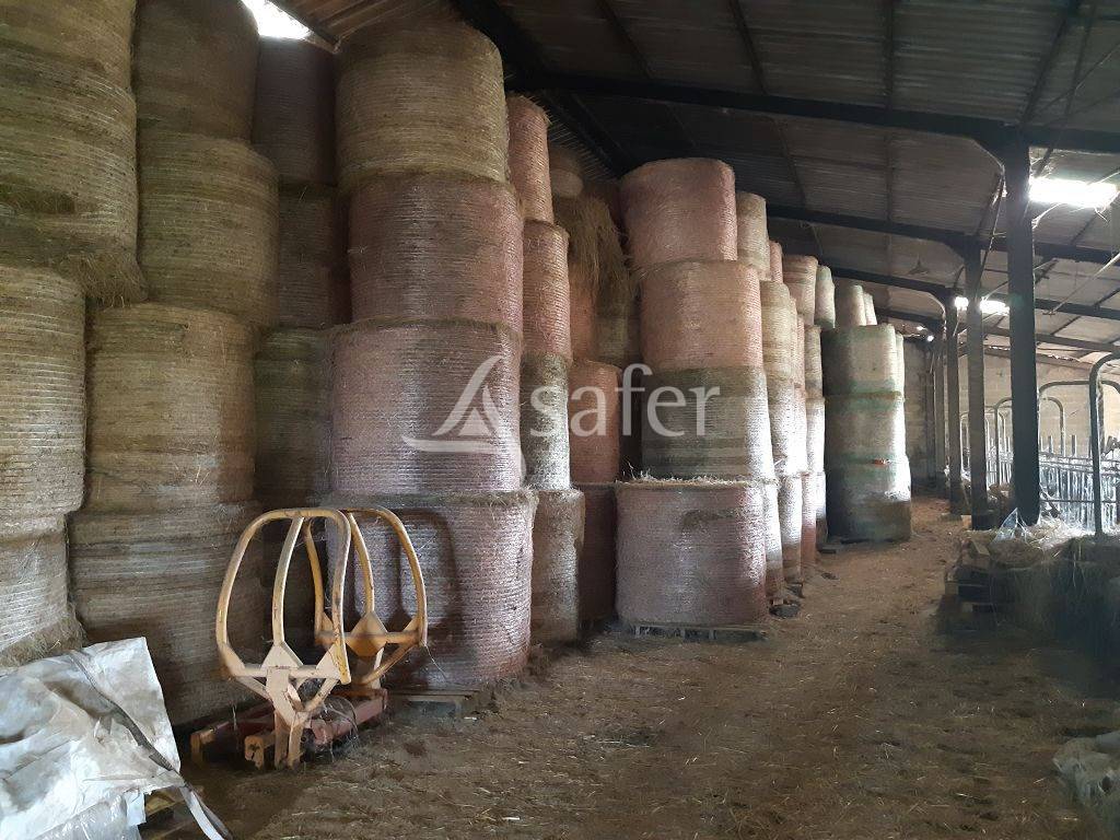 Other agricultural property  Haute-Vienne