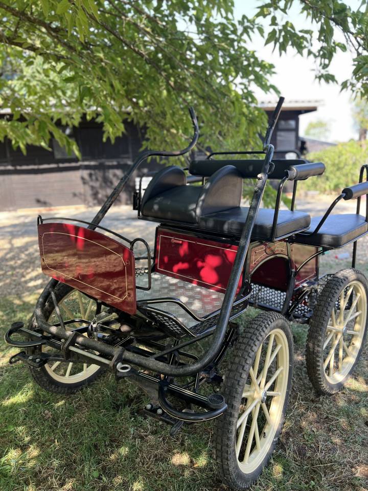 Carriage - Marathon for leisure Pouvreau Dresseuse 1 grand poney 