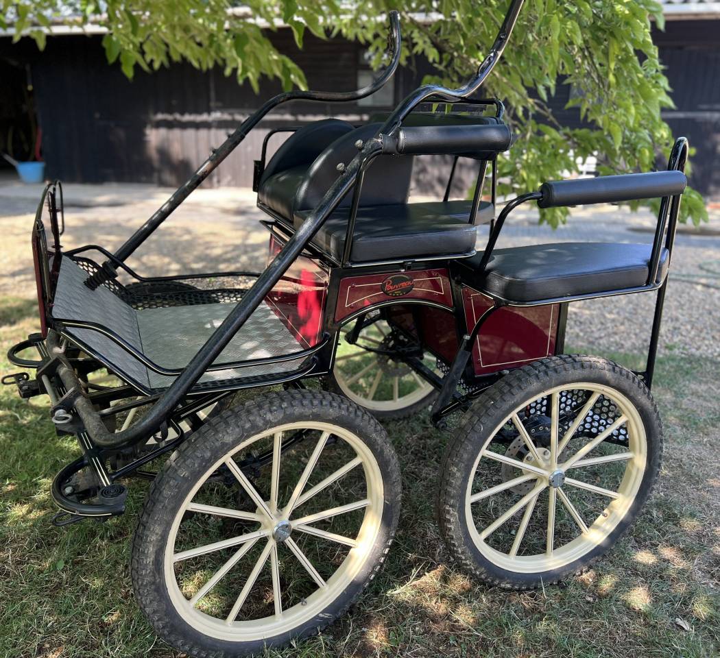 Carriage - Marathon for leisure Pouvreau Dresseuse 1 grand poney 