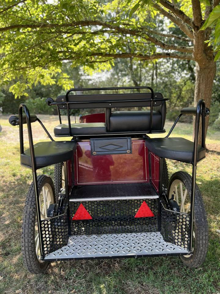 Carriage - Marathon for leisure Pouvreau Dresseuse 1 grand poney 