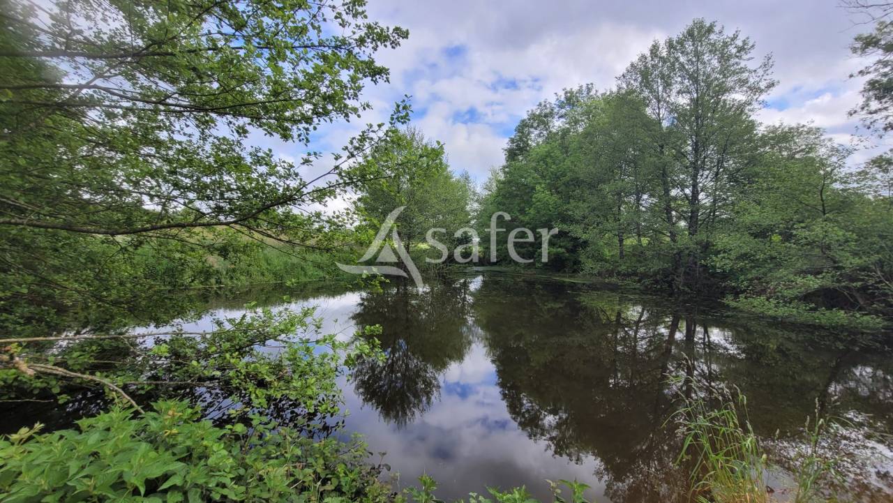 Poultry farm  Deux-Sèvres