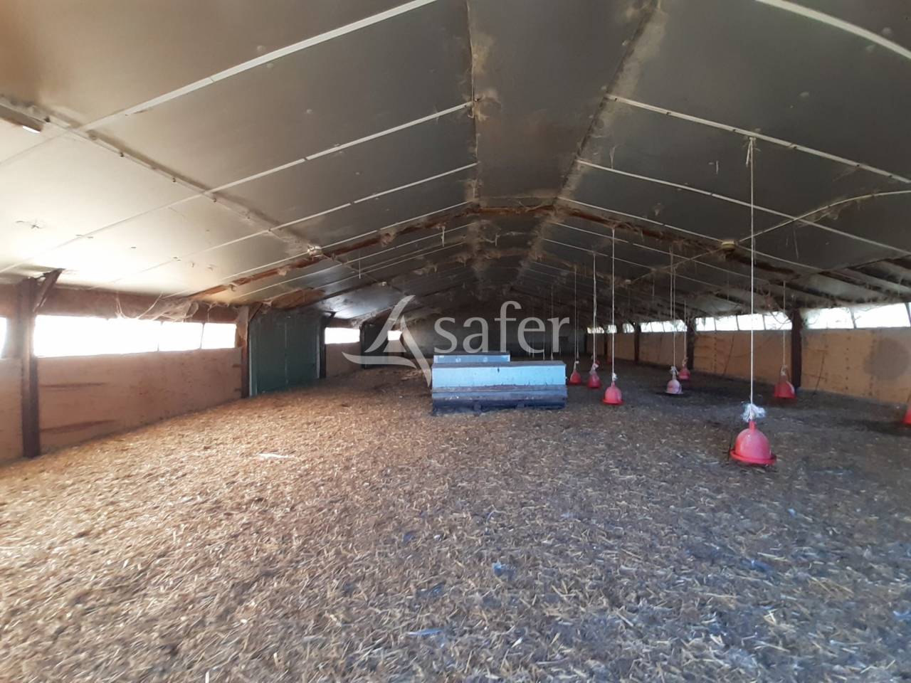 Poultry farm  Deux-S&egrave;vres