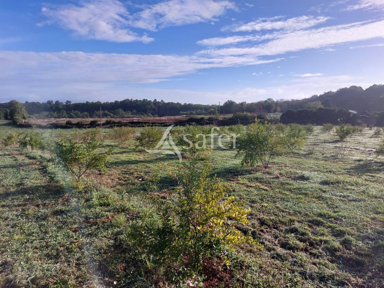 Other agricultural property  Dordogne