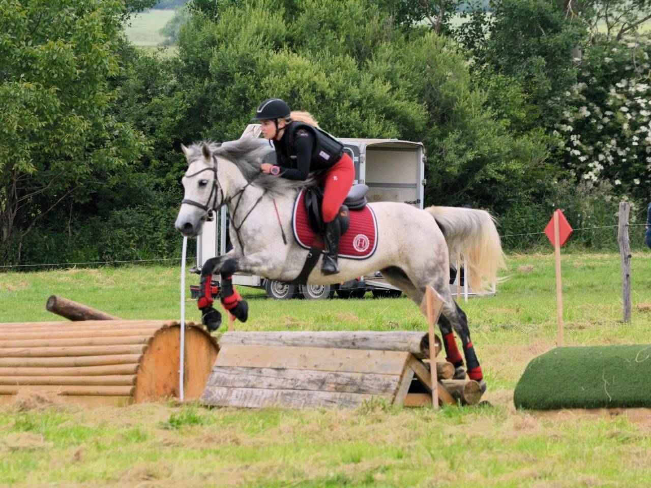 Gelding Connemara Part-Livery 2012 Grey