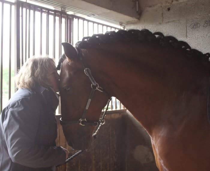 Filly PRE Pure Spanish Bred For sale 2025 Grey