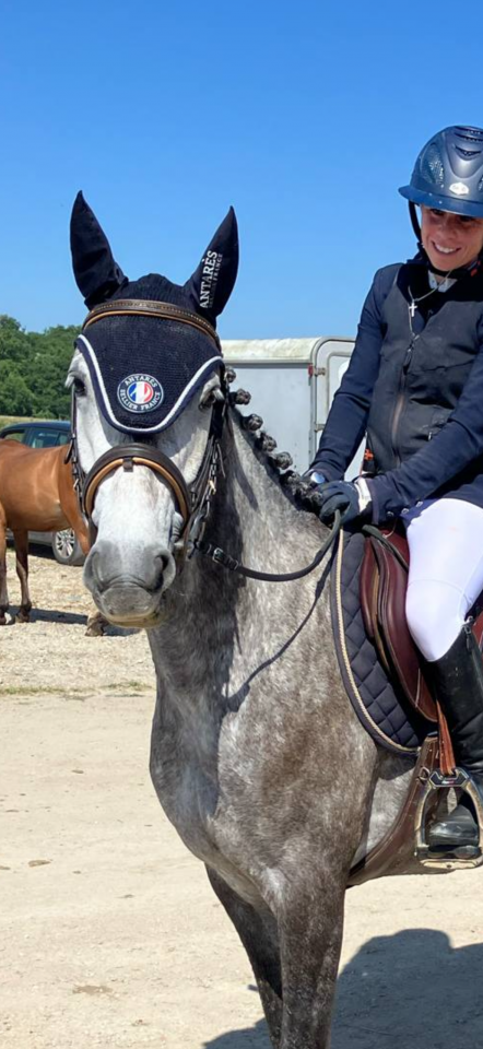 Mare French Saddle Pony For sale 2020 Grey