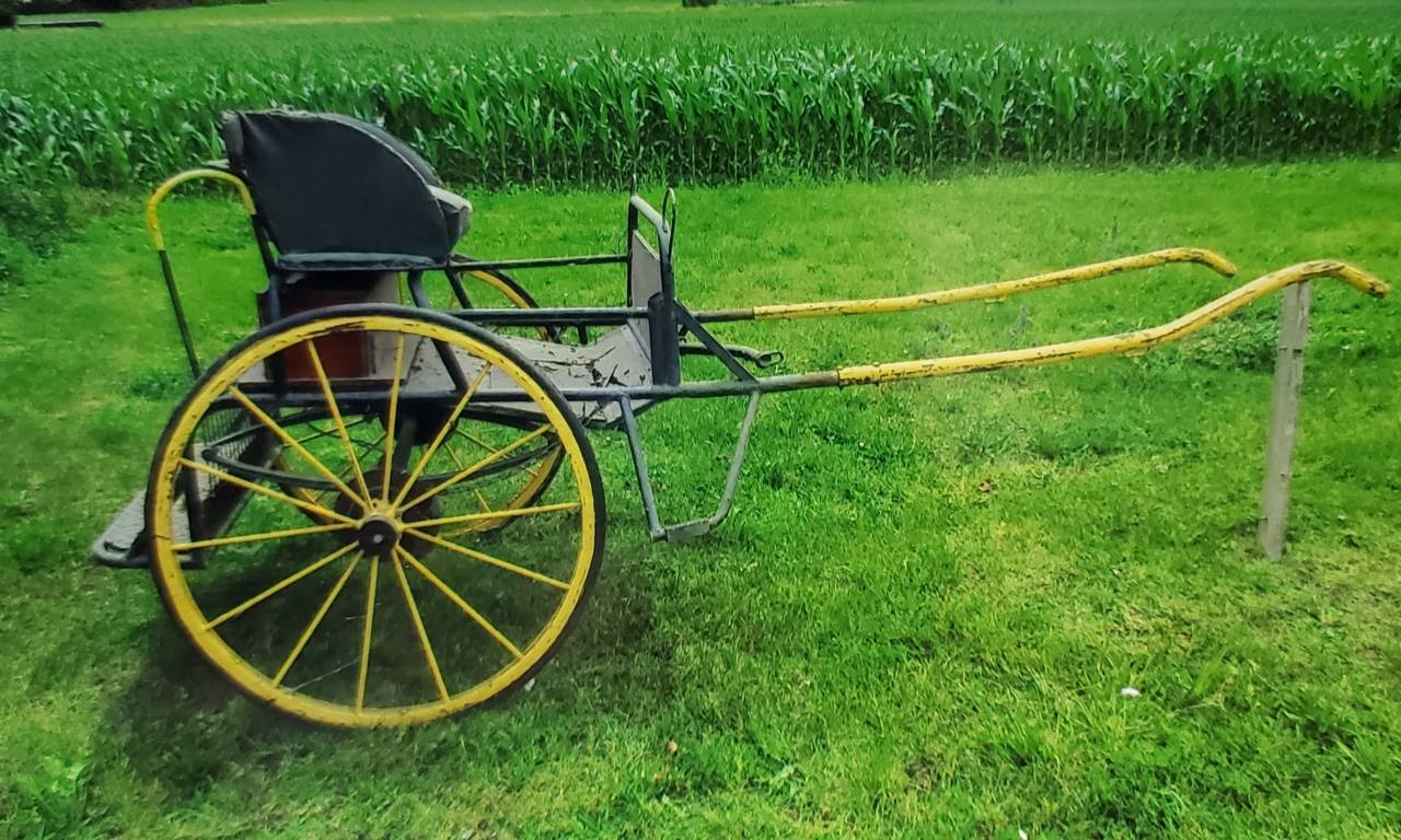 Carriage - Other carriage - Other brand -  