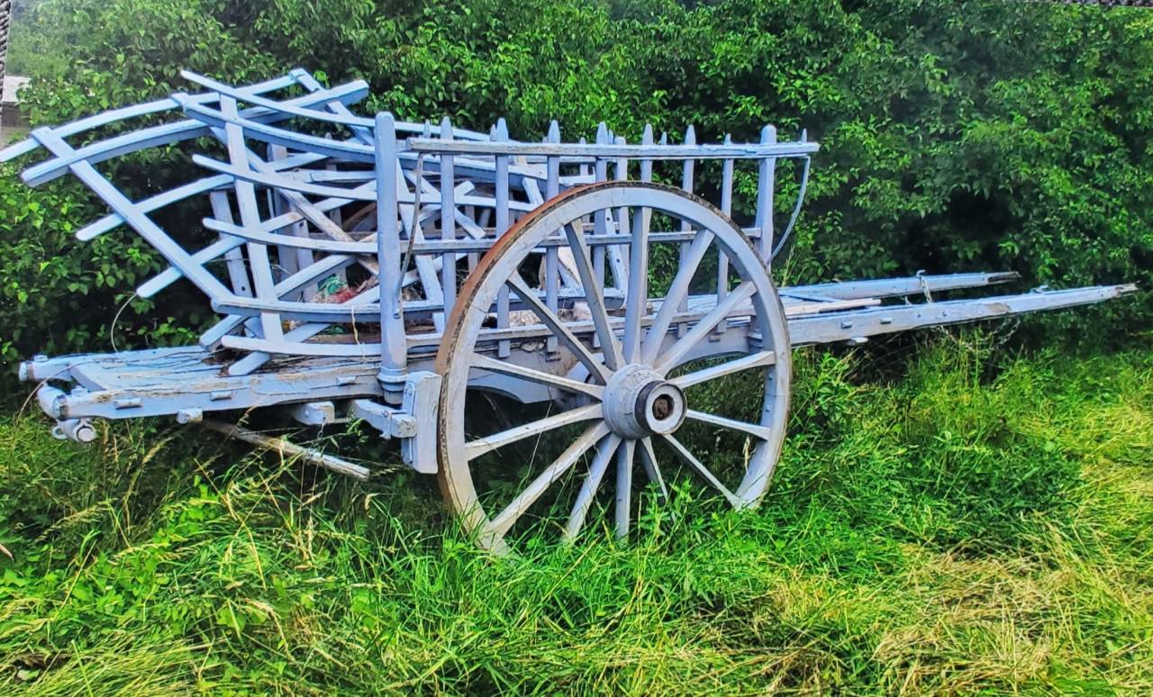 Carriage - Other carriage - Other brand -  