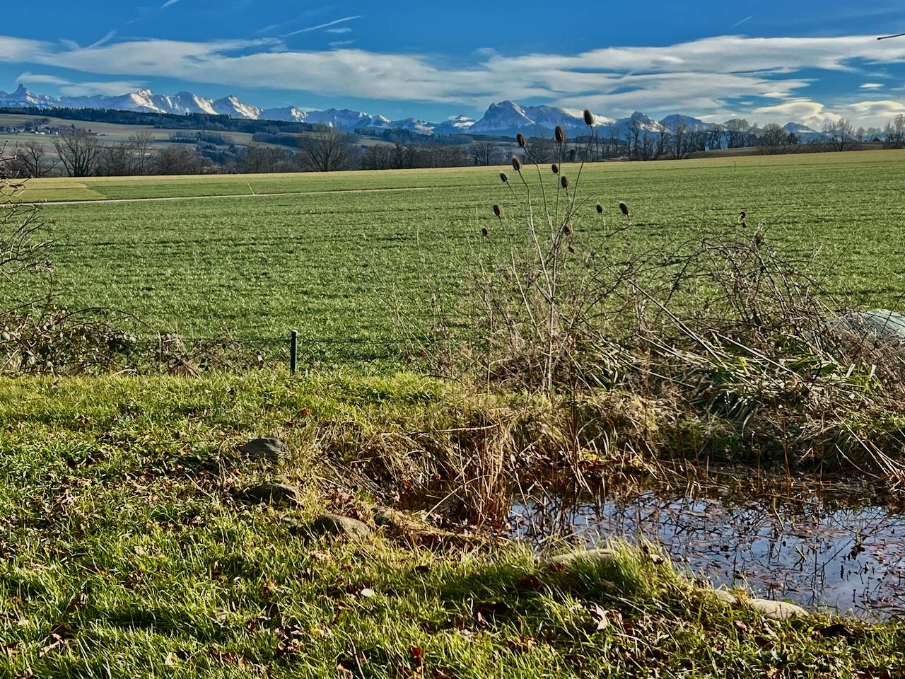 Equestrian farm  Fribourg