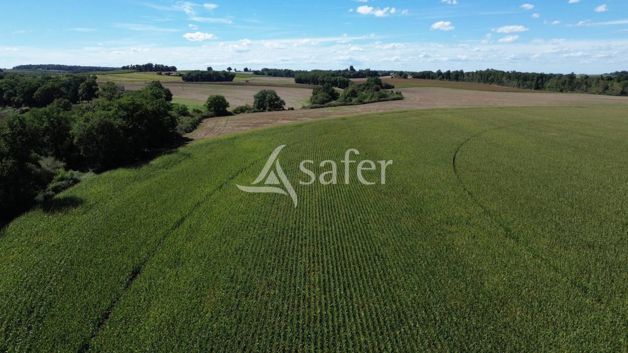 Other agricultural property  Gers