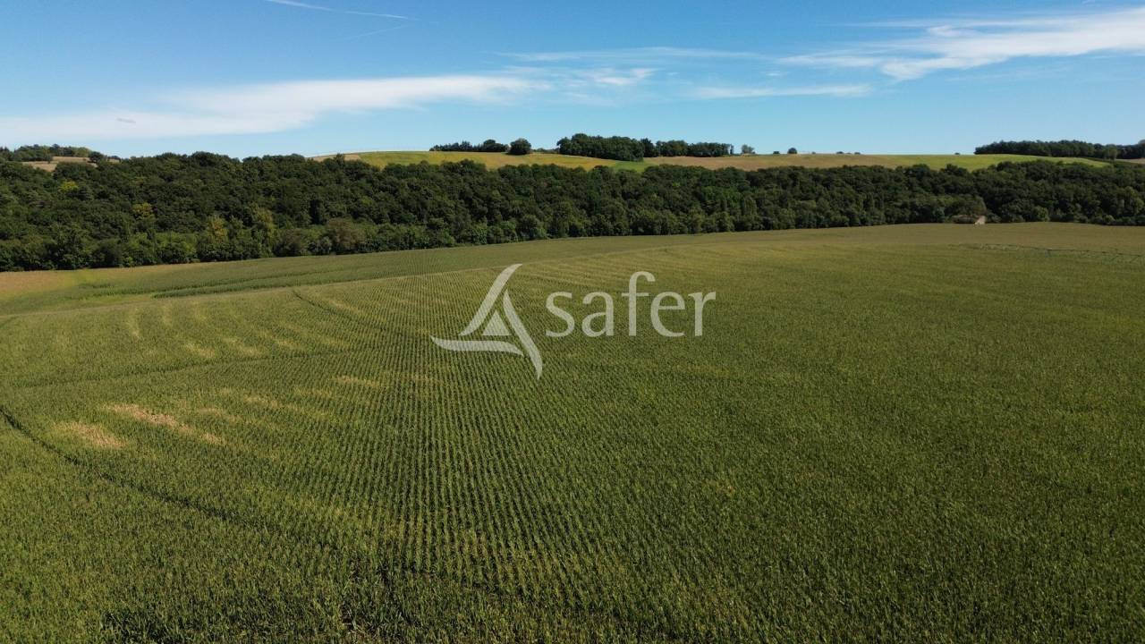 Other agricultural property  Gers