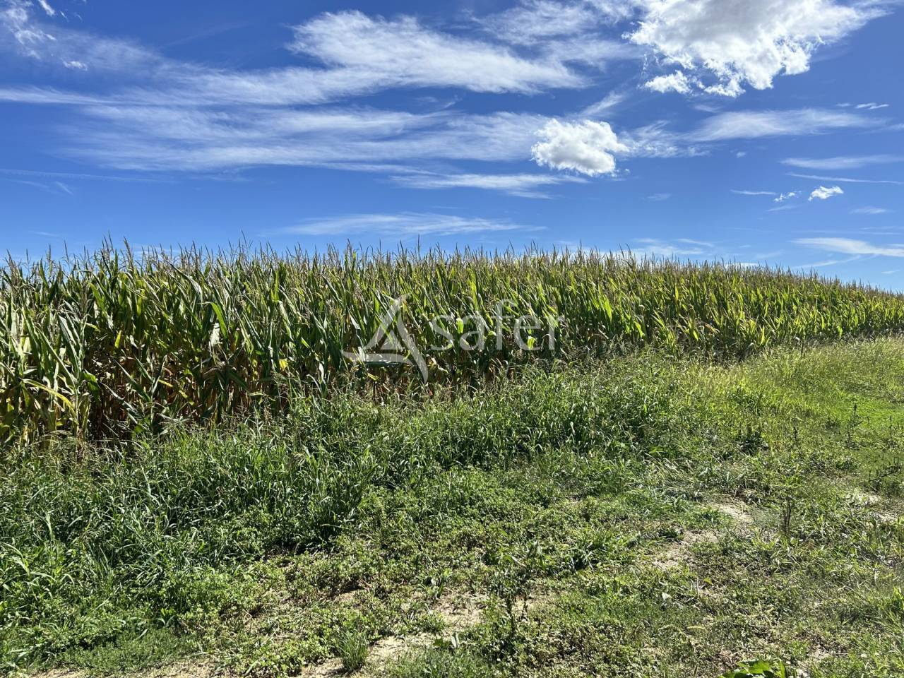 Other agricultural property  Gers