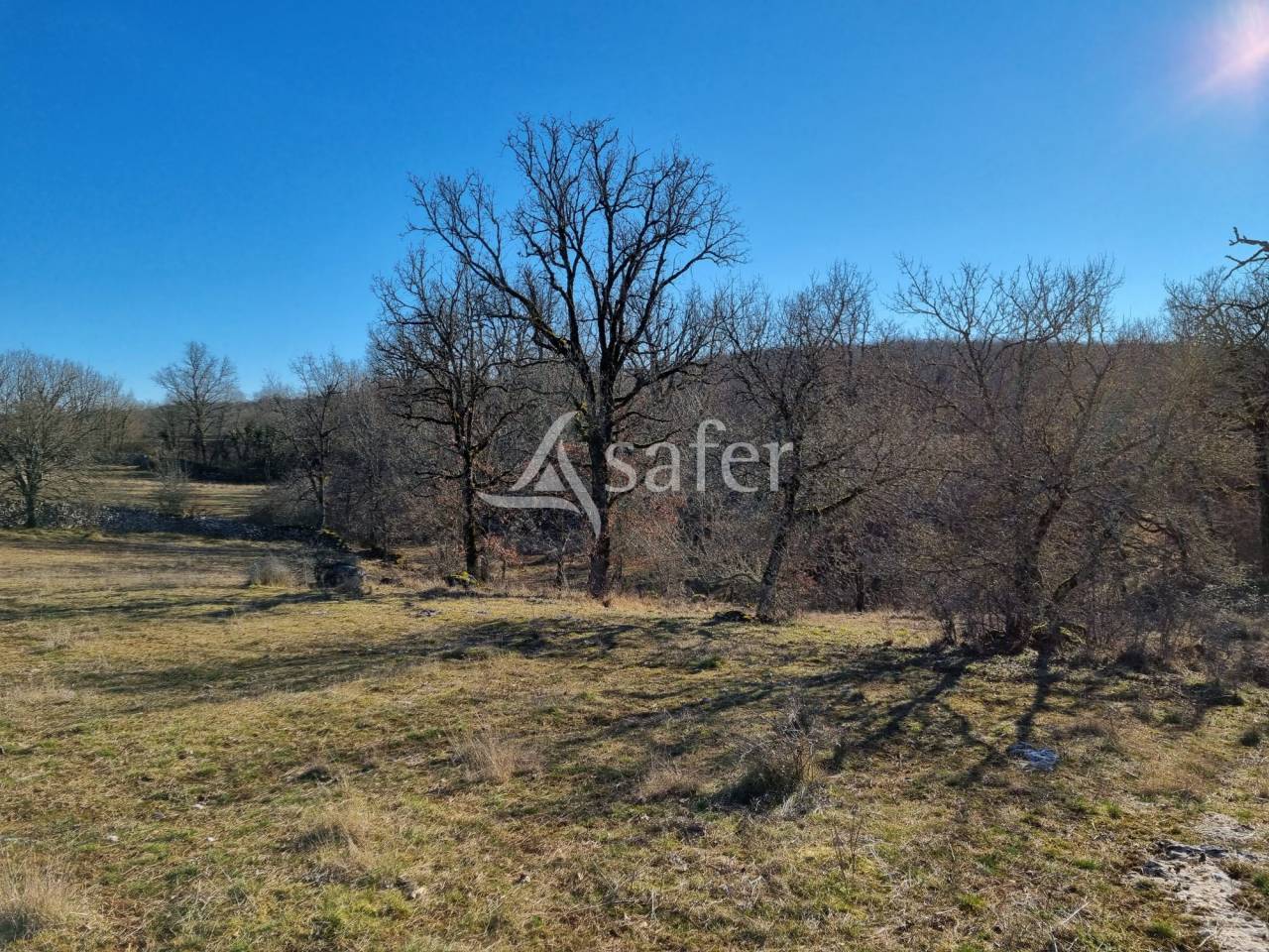 Other country property  Lot