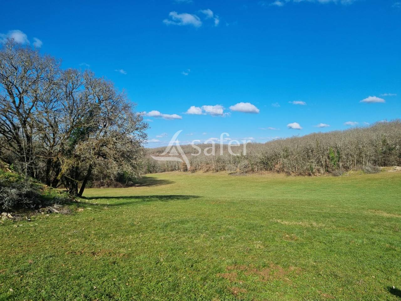 Other country property  Lot