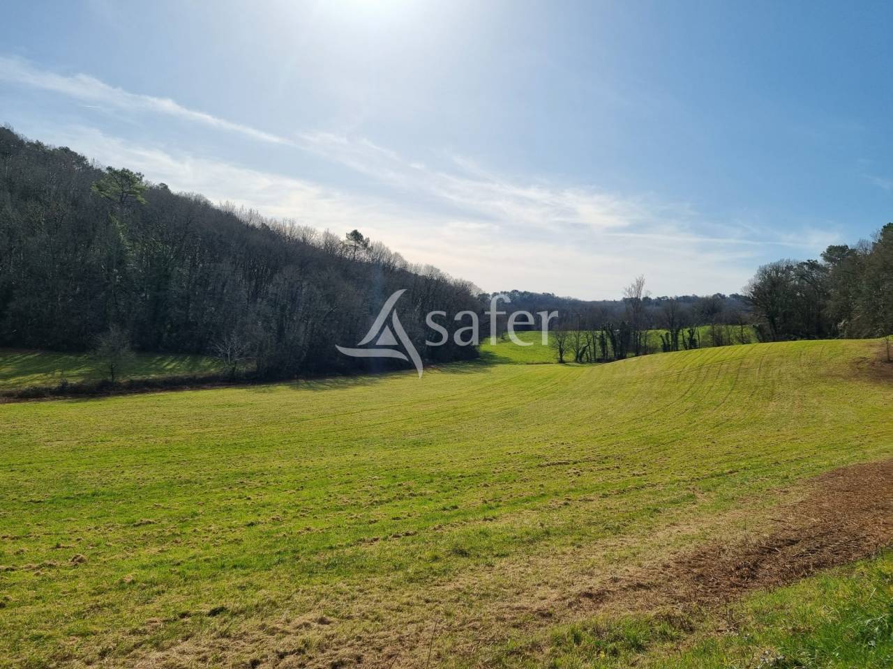 Other agricultural property  Lot