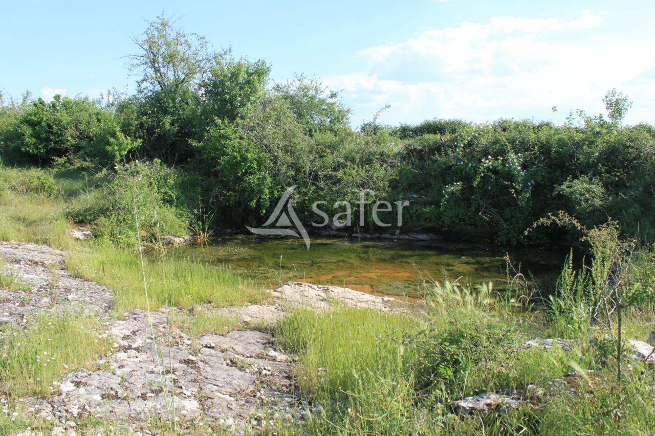 Other agricultural property  Lot