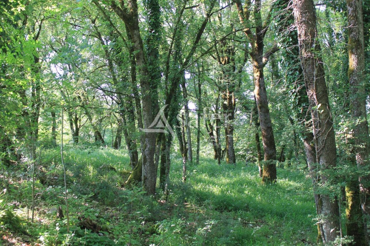 Other agricultural property  Lot