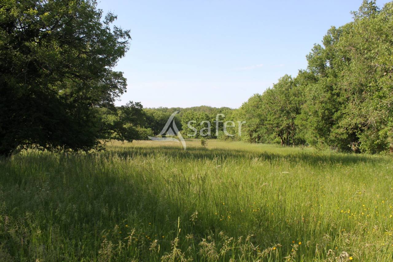 Other agricultural property  Lot