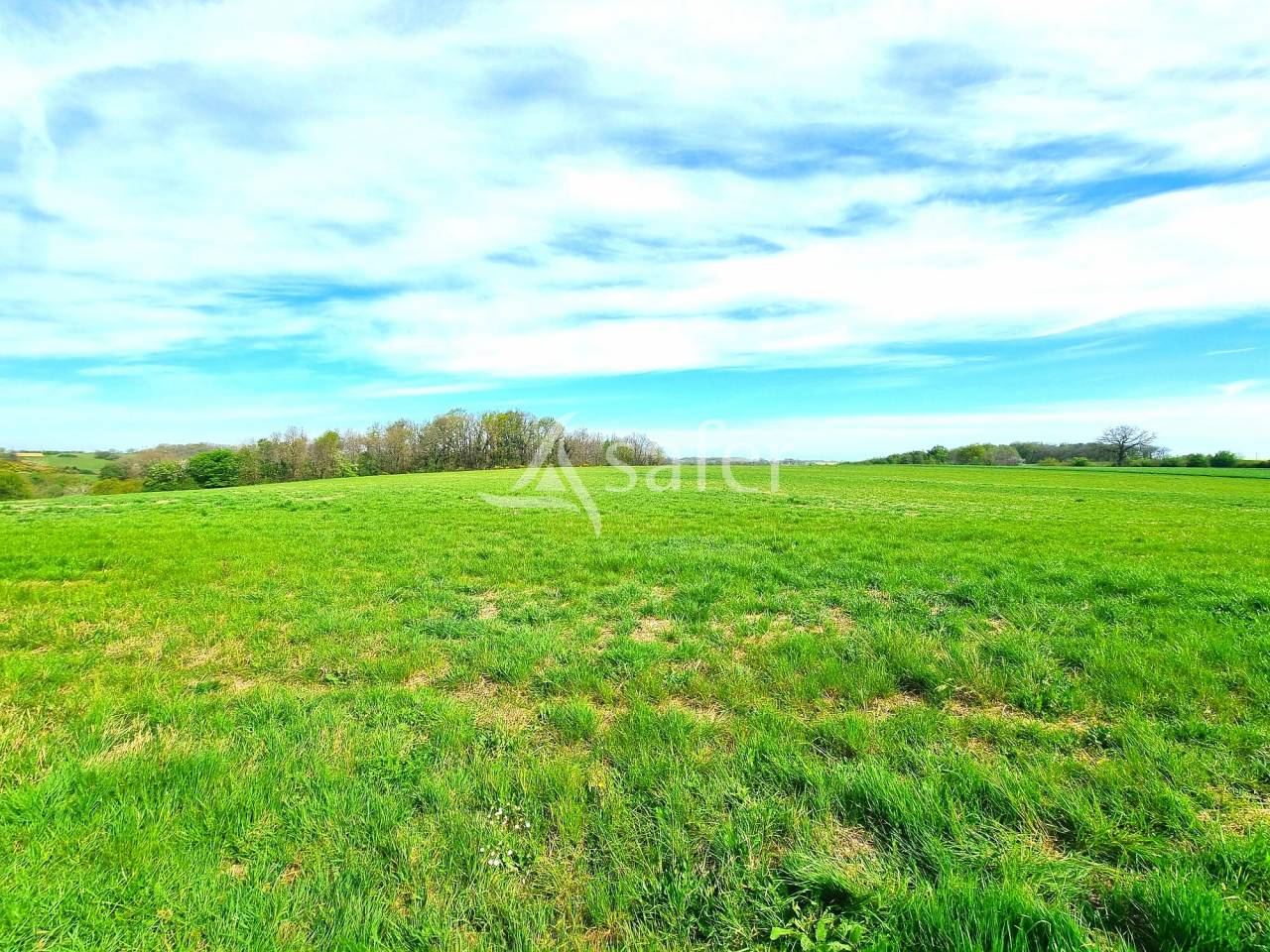 Poultry farm  Tarn-et-Taronne