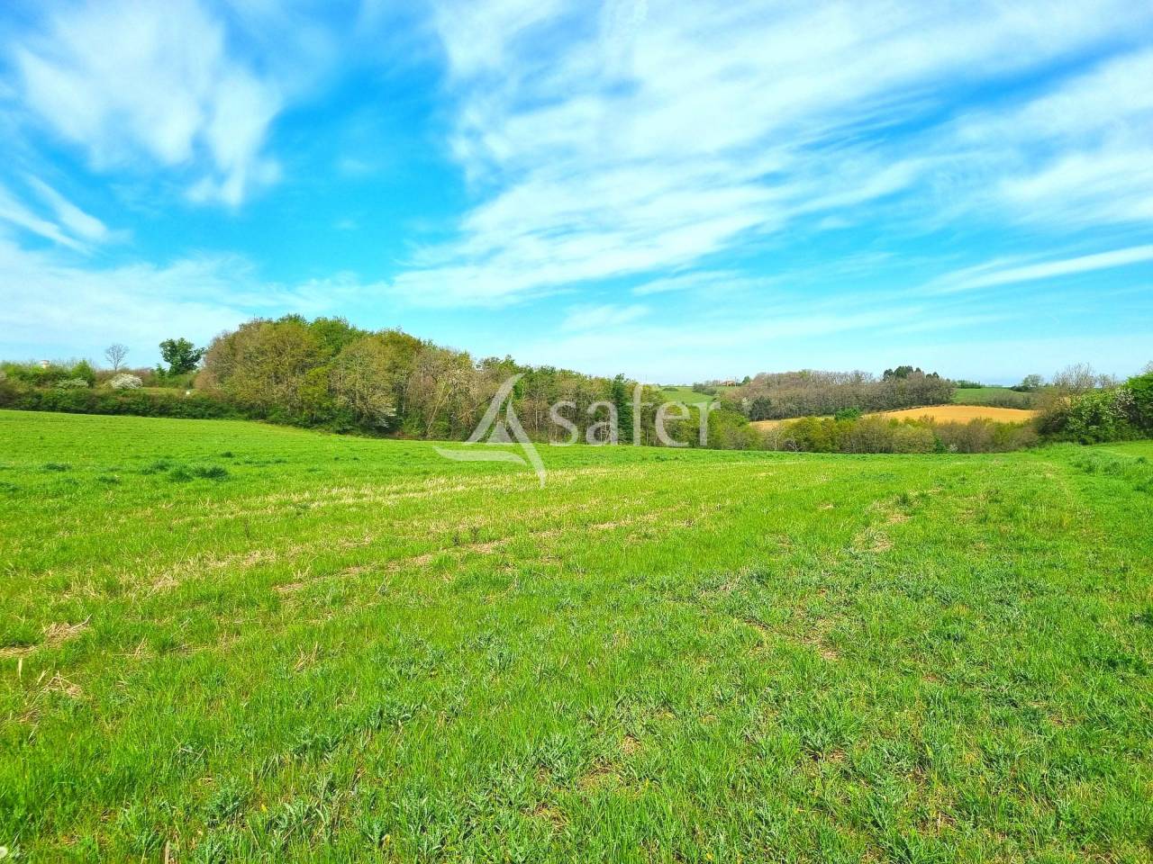 Poultry farm  Tarn-et-Taronne