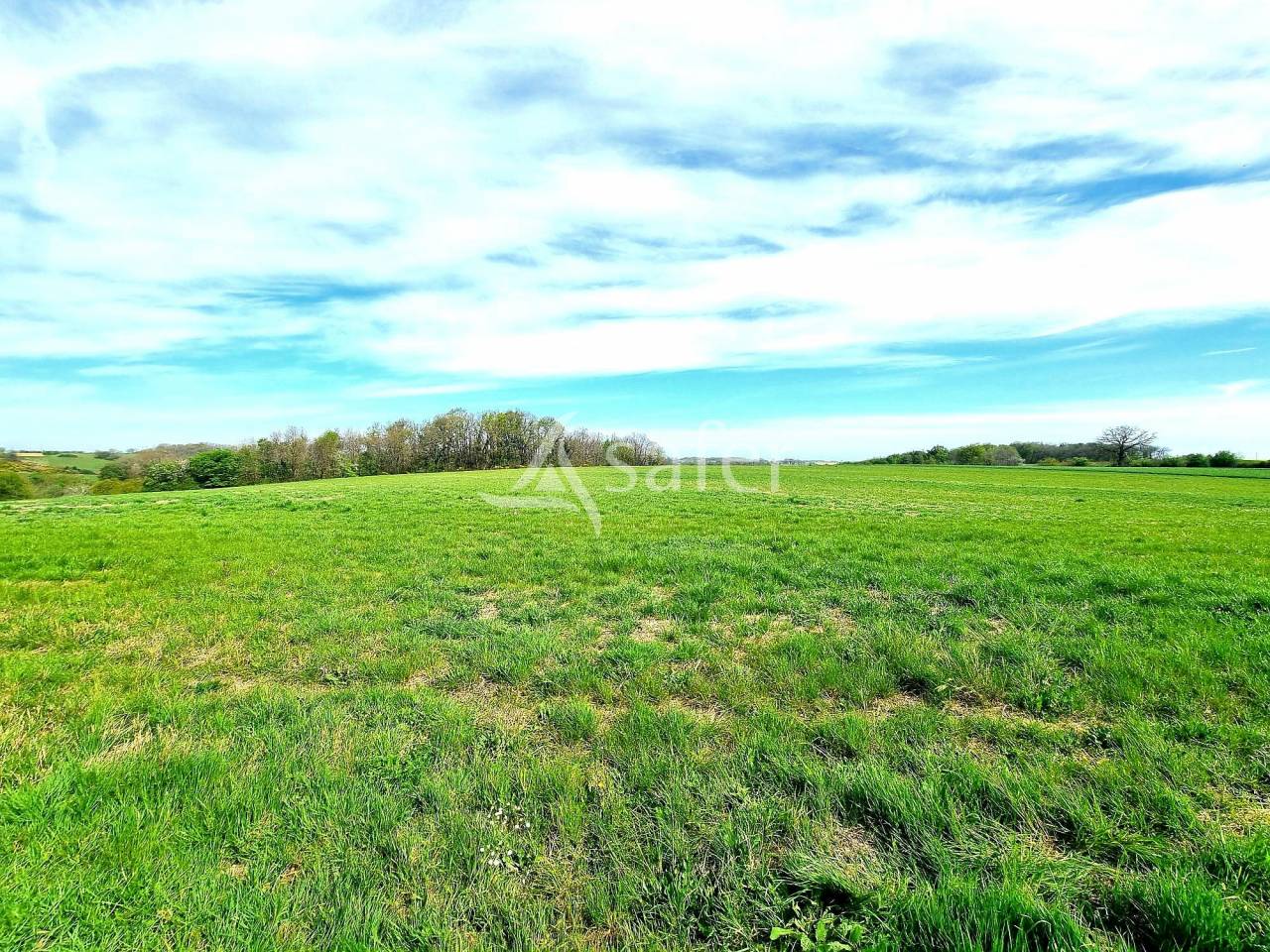 Poultry farm  Tarn-et-Taronne