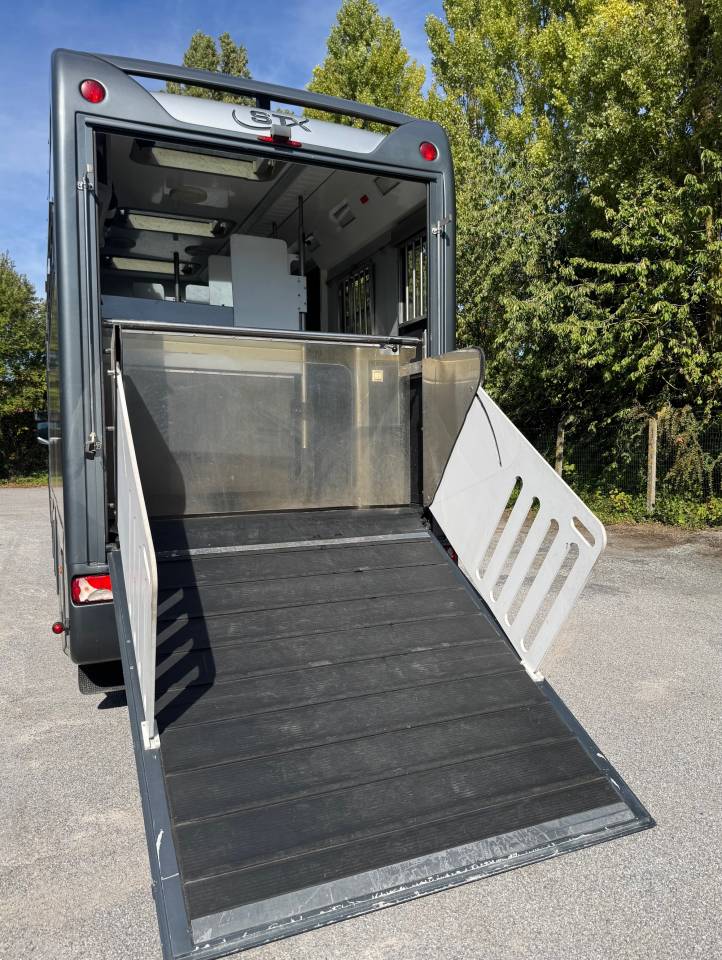 Horsebox NON-HGV STX SCANIA 2014 Used