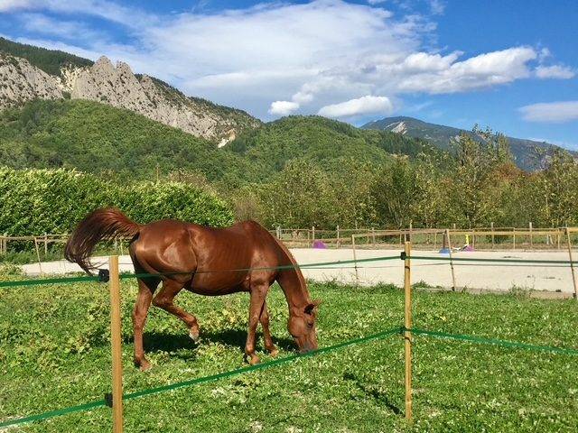 Equestrian property  
