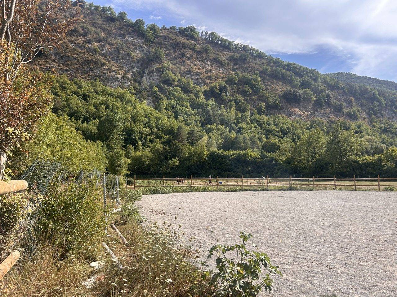 Equestrian property  
