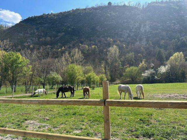 Equestrian property  