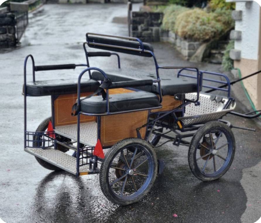 Carriage - Wagonnette   