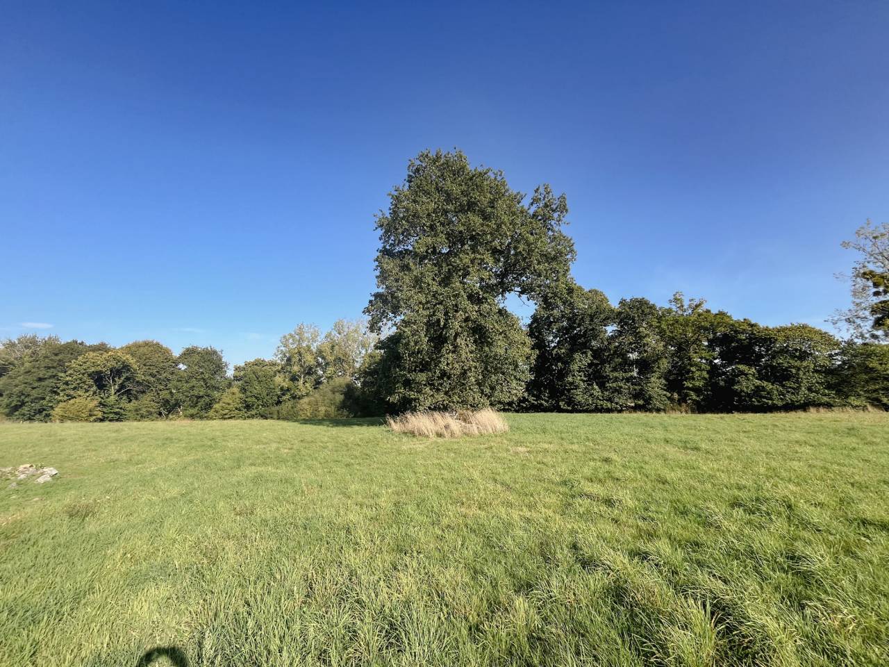 Country house  Ile-et-Vilaine