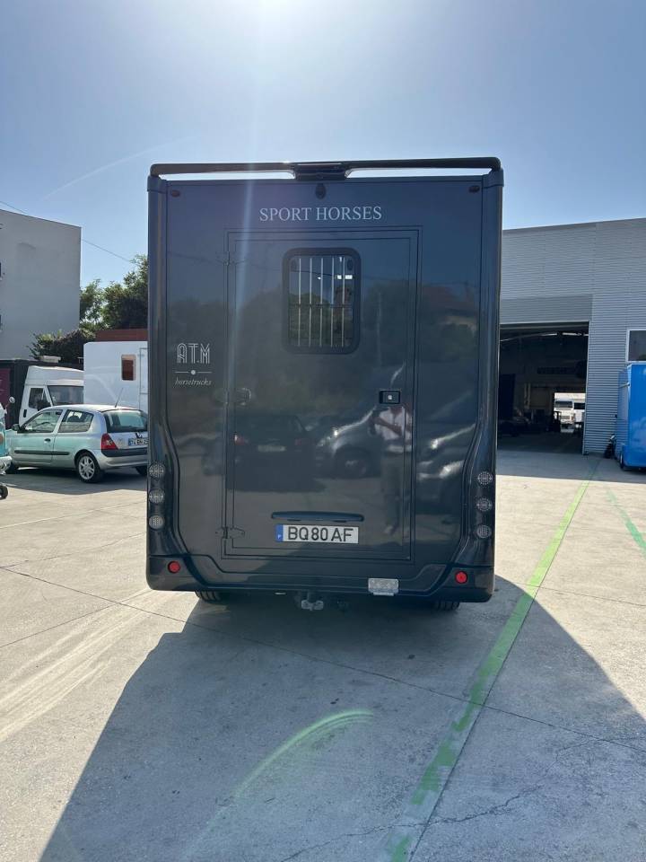 Horsebox HGV Renault Renault master 2024 New