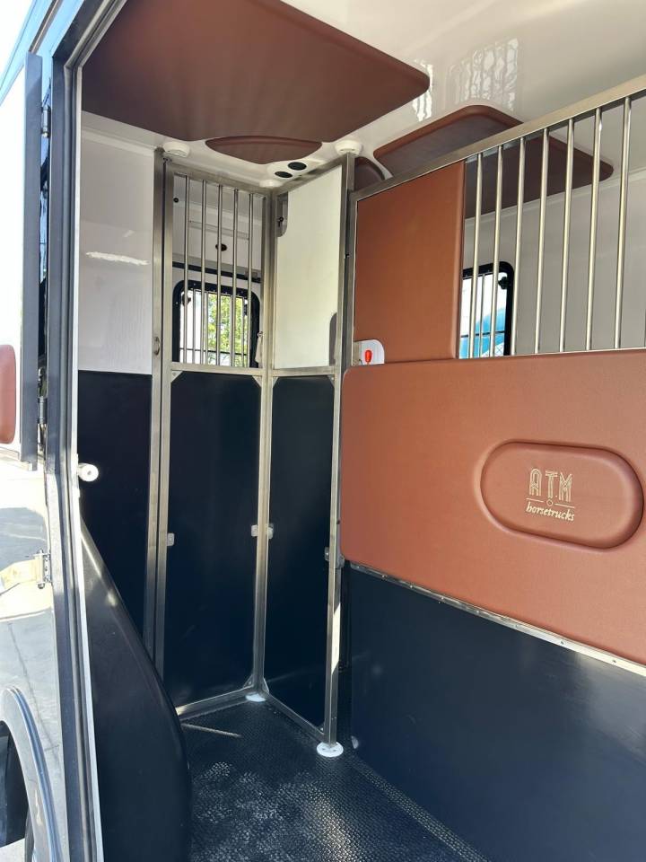 Horsebox HGV Renault Renault master 2024 New