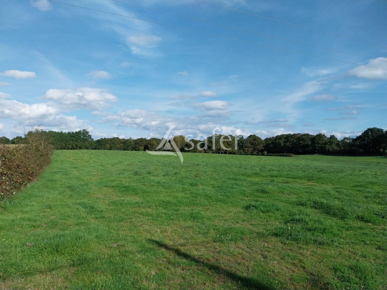 Other agricultural property  Loire-Atlantique