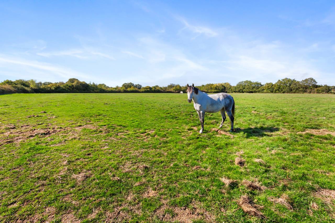 Livery yard  Loire-Atlantique