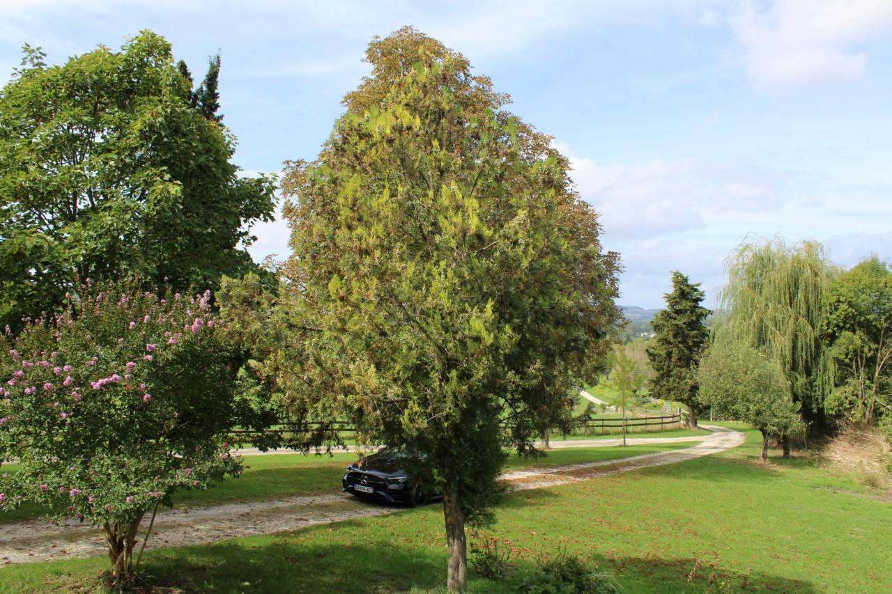 Equestrian property  Lot-et-Garonne