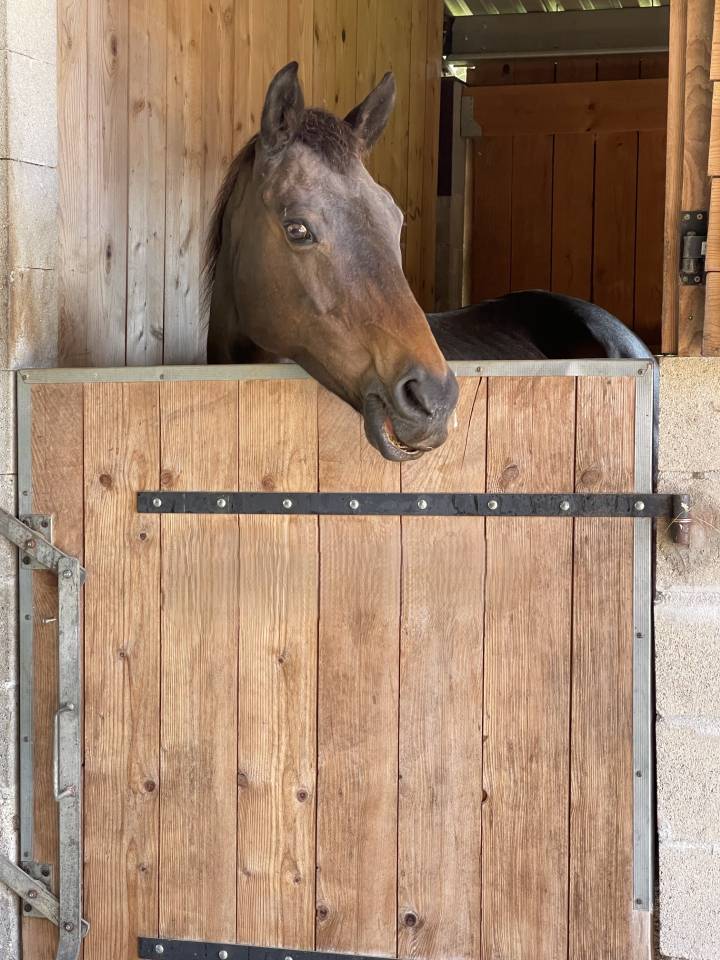 Equestrian property  Gironde