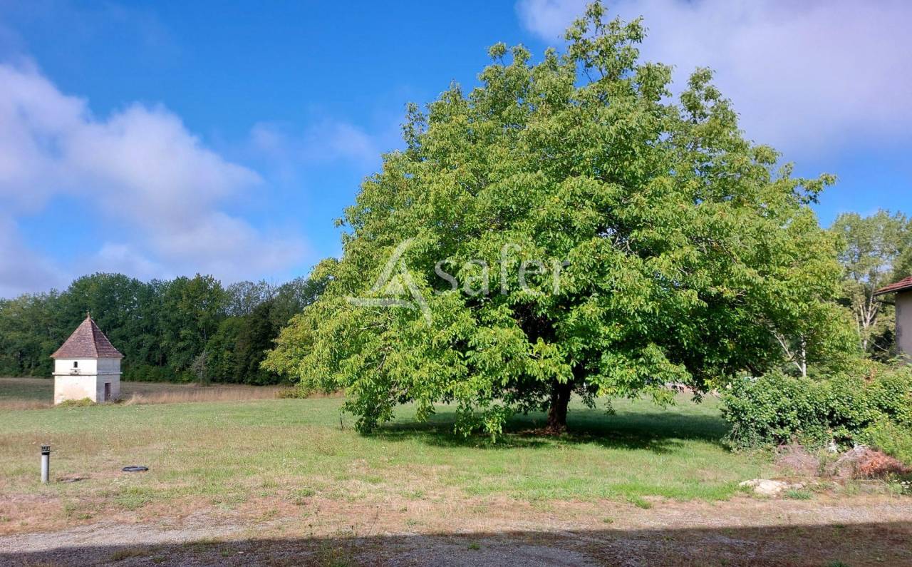 Sheep farm  Dordogne