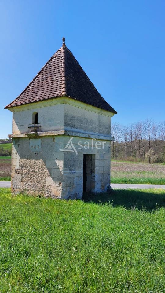 Sheep farm  Dordogne