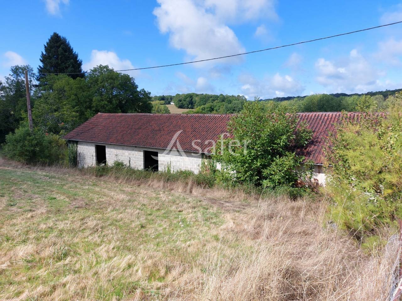 Sheep farm  Dordogne
