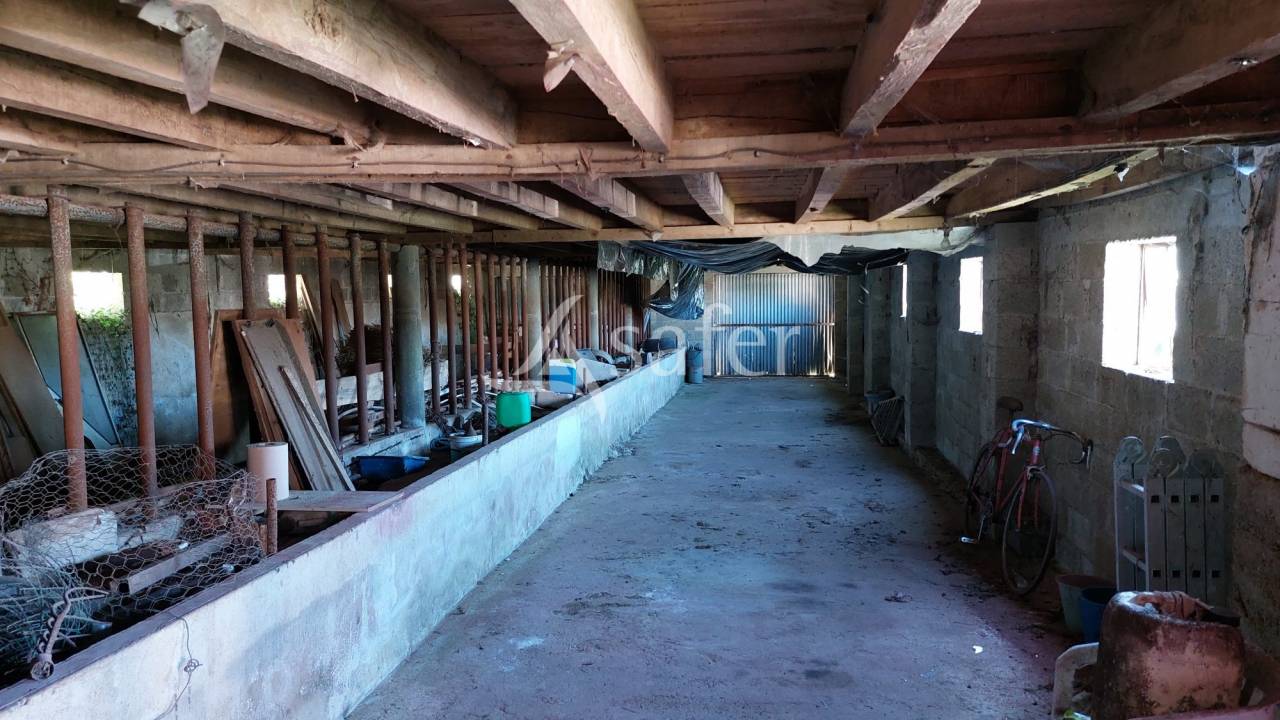 Sheep farm  Dordogne