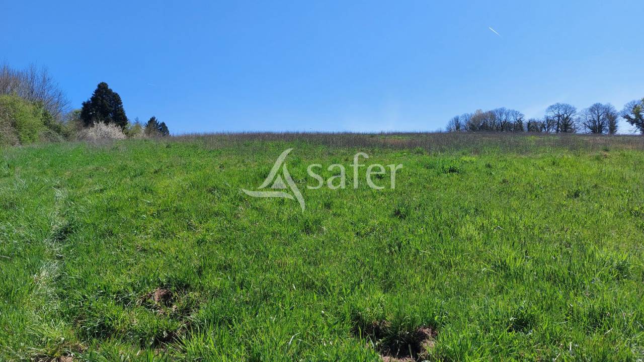 Sheep farm  Dordogne
