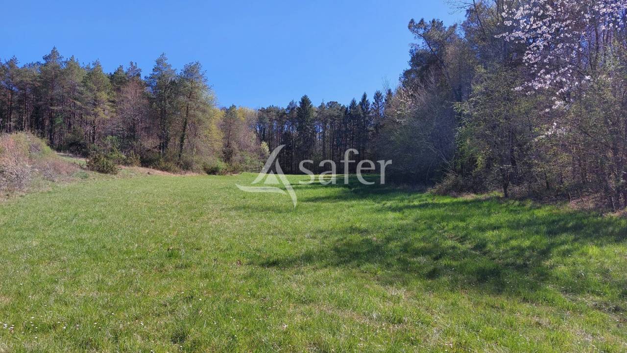Sheep farm  Dordogne