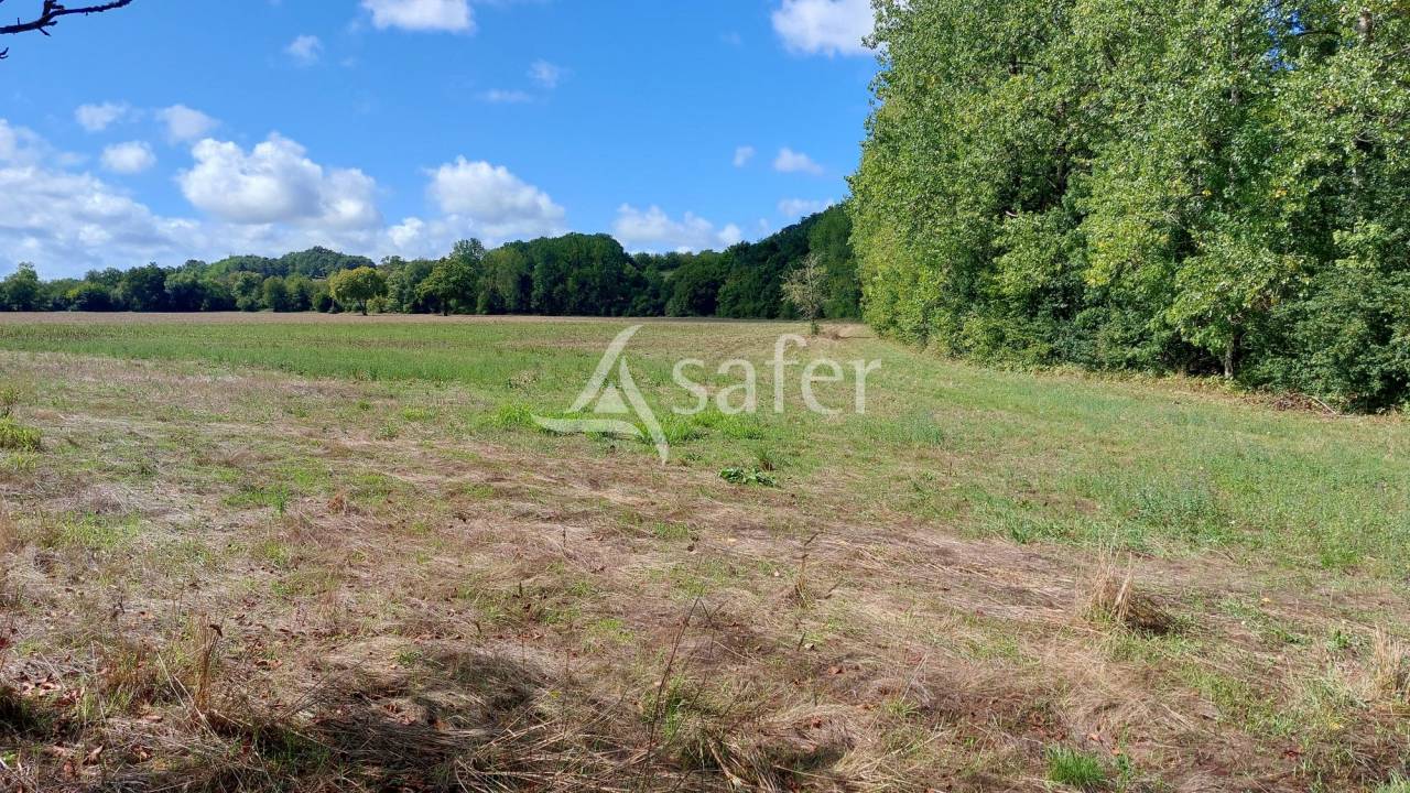 Sheep farm  Dordogne
